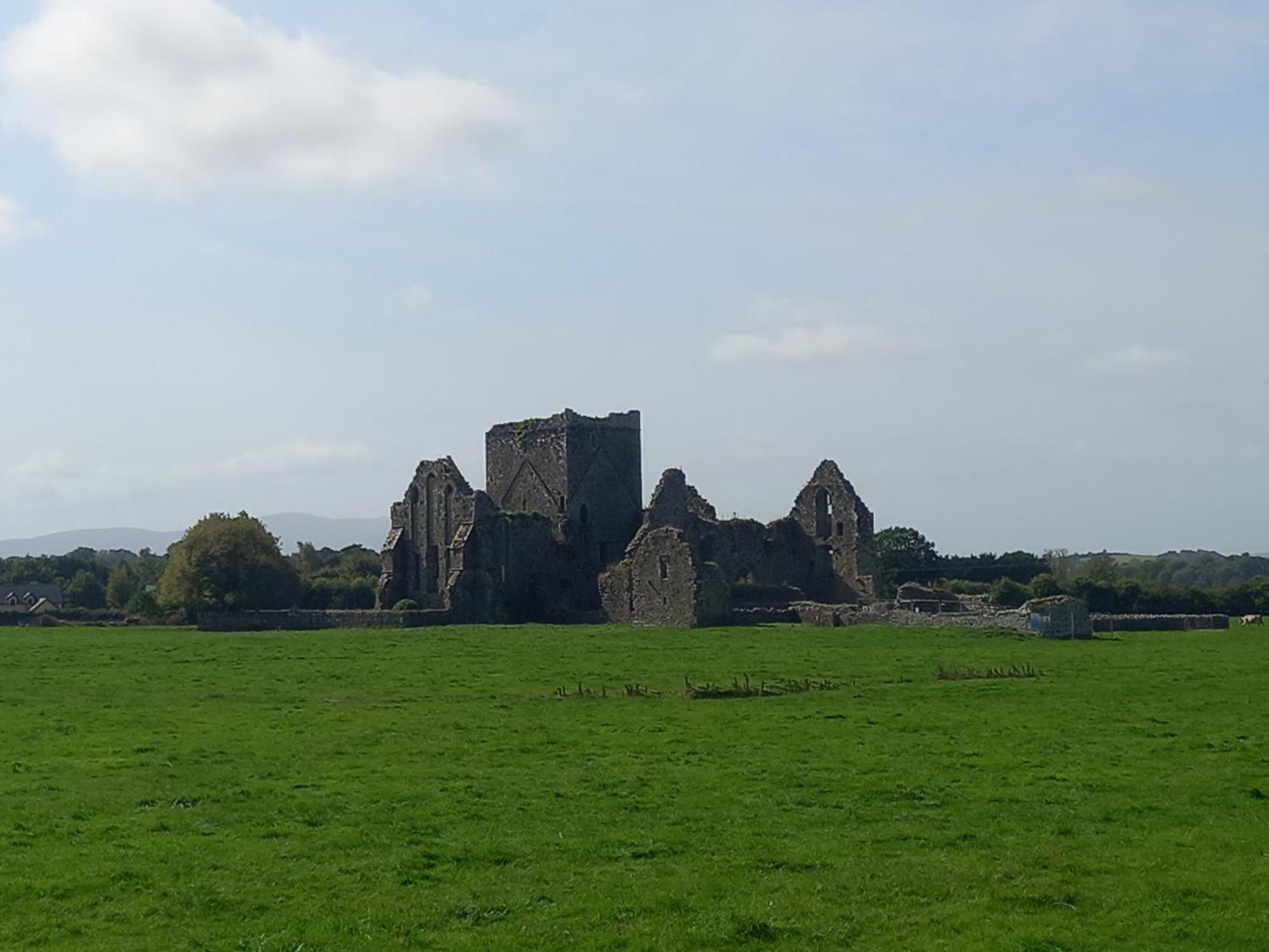 Kitty'S Cottage - Horse And Jockey, Cashel Thurles Dış mekan fotoğraf